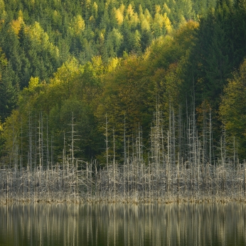 Parcul Natural Vânători - Neamț
